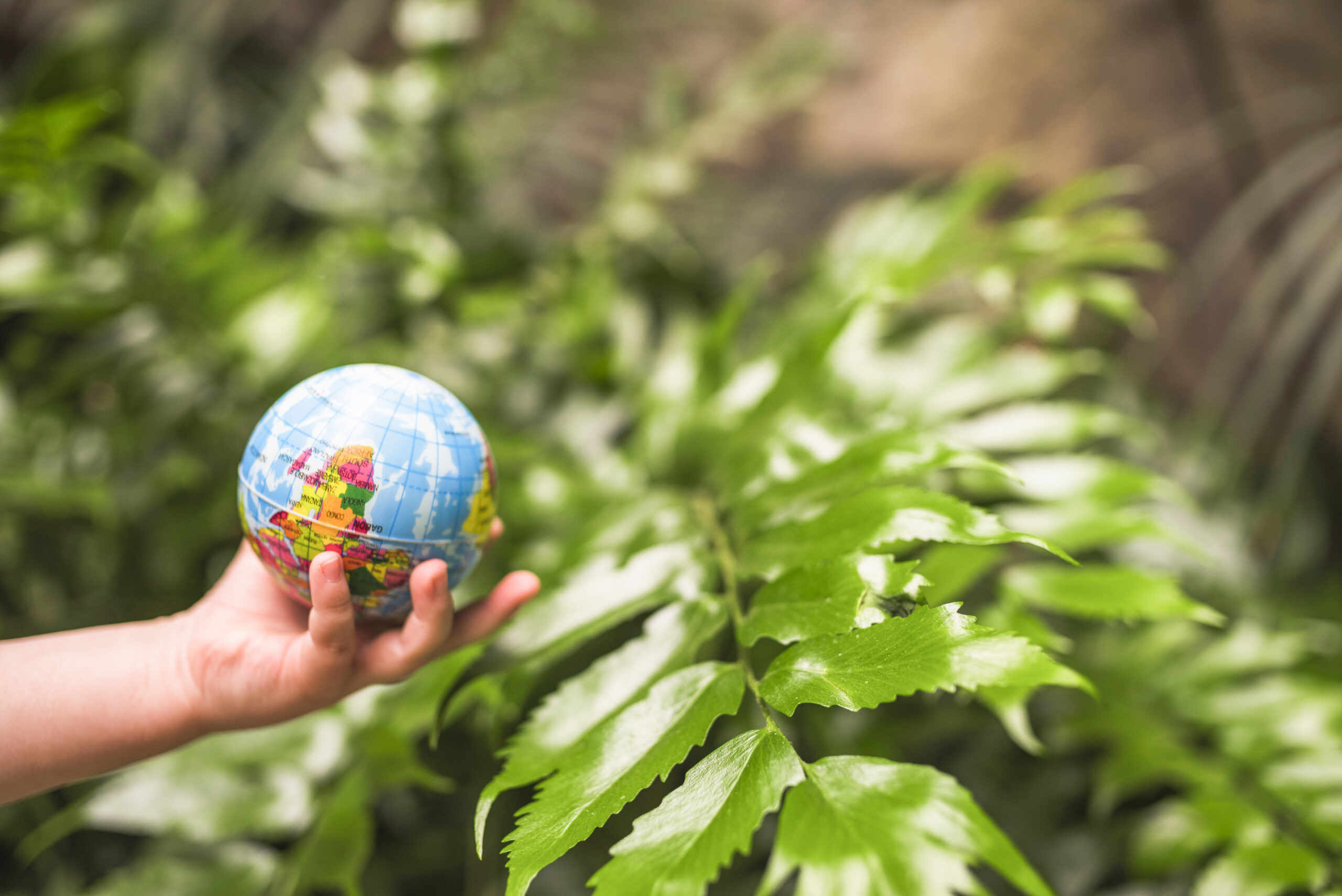 Como funciona a compensação ambiental?